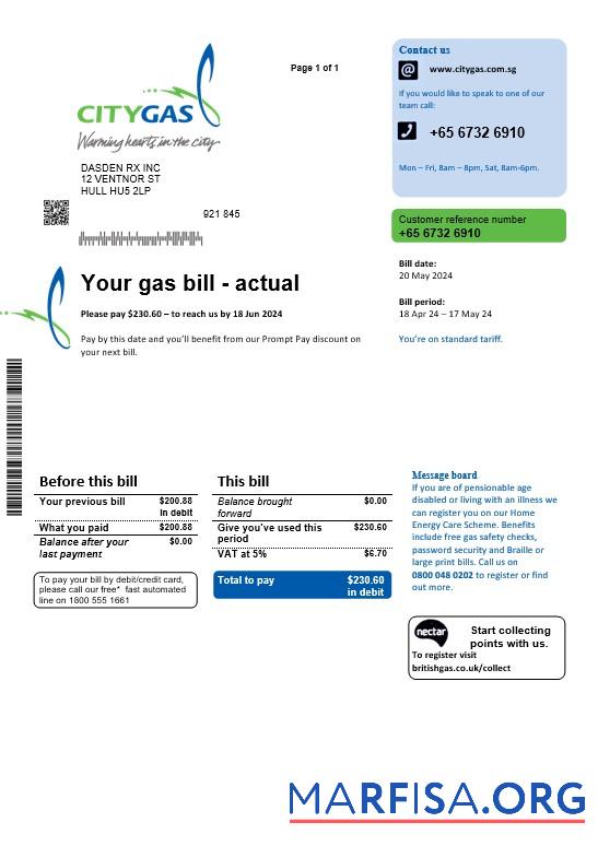 Printable Singapore City Gas business utility bill template, fully editable in PSD formats